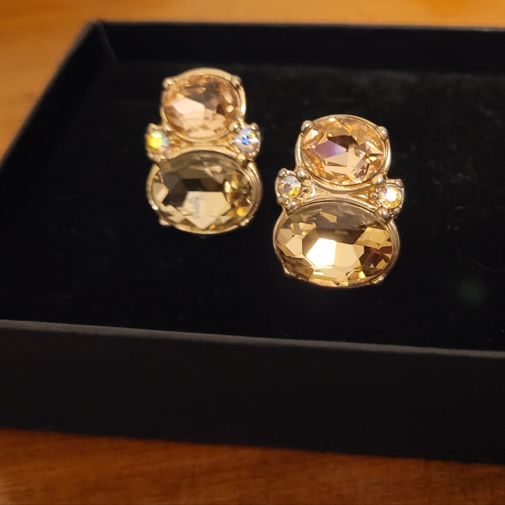 Vintage Earrings